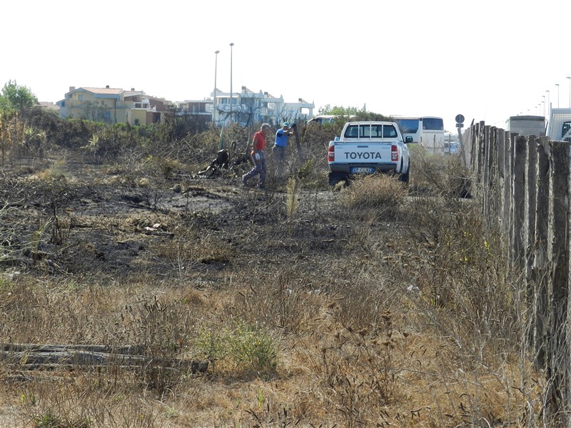 incendio 25ago1 (800 x 600)